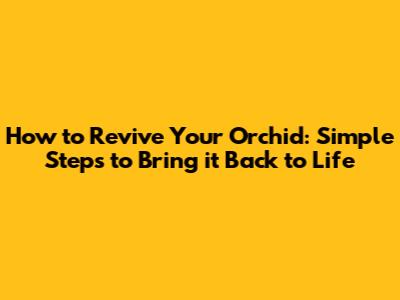 How to Revive Your Orchid: Simple Steps to Bring it Back to Life