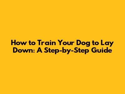 How to Train Your Dog to Lay Down: A Step-by-Step Guide
