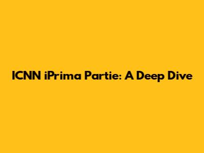 ICNN iPrima Partie: A Deep Dive
