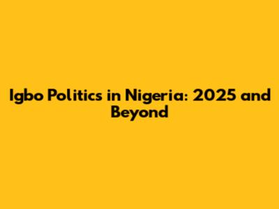 Igbo Politics in Nigeria: 2025 and Beyond