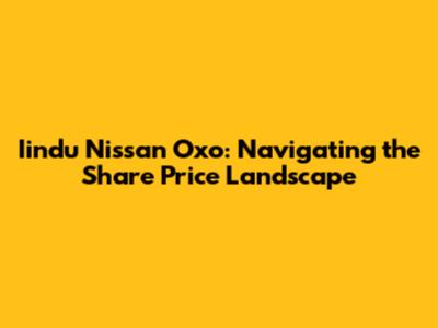 Iindu Nissan Oxo: Navigating the Share Price Landscape