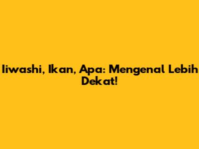 Iiwashi, Ikan, Apa: Mengenal Lebih Dekat!