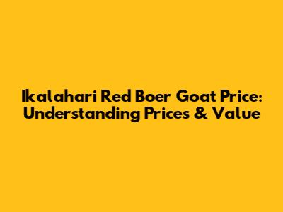 Ikalahari Red Boer Goat Price: Understanding Prices & Value