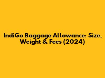 IndiGo Baggage Allowance: Size, Weight & Fees (2024)