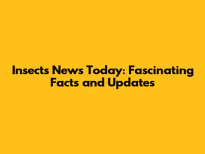 Insects News Today: Fascinating Facts and Updates