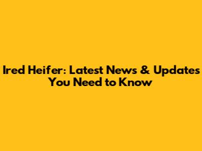 Ired Heifer: Latest News & Updates You Need to Know