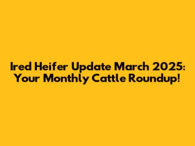 Ired Heifer Update March 2025: Your Monthly Cattle Roundup!