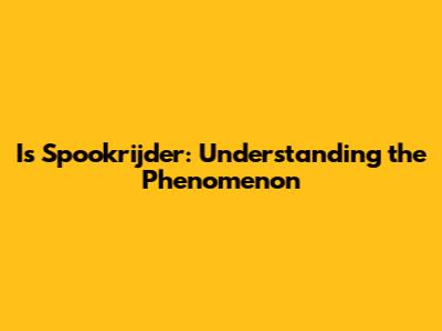 Is Spookrijder: Understanding the Phenomenon