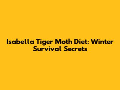 Isabella Tiger Moth Diet: Winter Survival Secrets