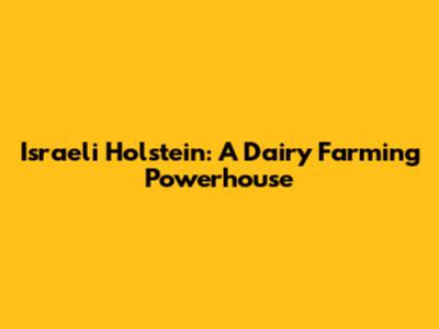 Israeli Holstein: A Dairy Farming Powerhouse