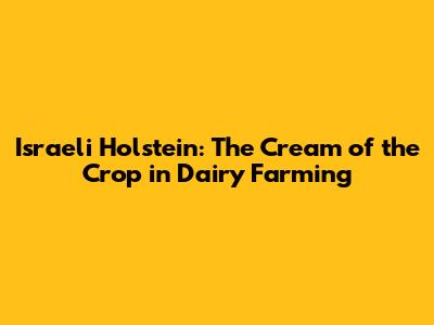 Israeli Holstein: The Cream of the Crop in Dairy Farming