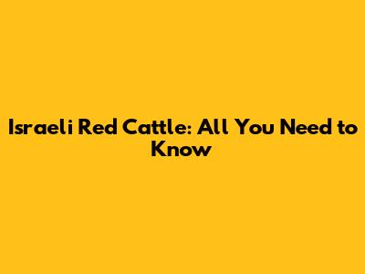 Israeli Red Cattle: All You Need to Know