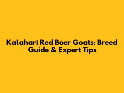 Kalahari Red Boer Goats: Breed Guide & Expert Tips