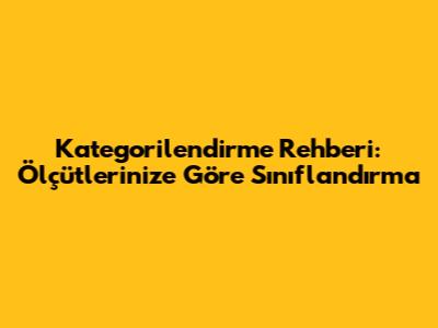 Kategorilendirme Rehberi: Ölçütlerinize Göre Sınıflandırma