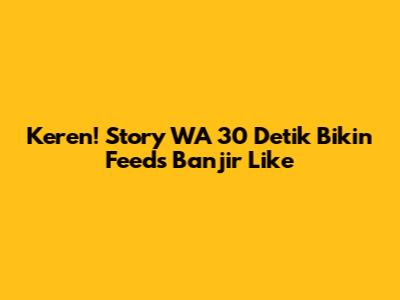 Keren! Story WA 30 Detik Bikin Feeds Banjir Like