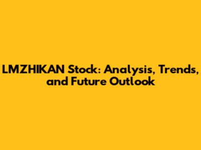 LMZHIKAN Stock: Analysis, Trends, and Future Outlook