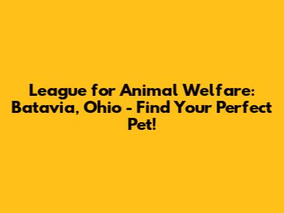 League for Animal Welfare: Batavia, Ohio - Find Your Perfect Pet!
