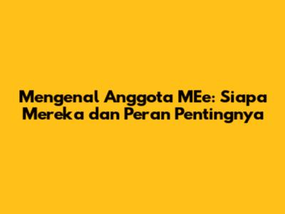 Mengenal Anggota MEe: Siapa Mereka dan Peran Pentingnya