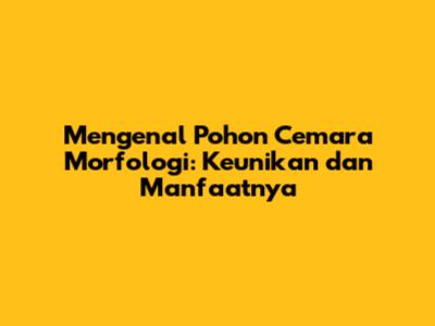 Mengenal Pohon Cemara Morfologi: Keunikan dan Manfaatnya