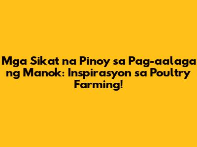 Mga Sikat na Pinoy sa Pag-aalaga ng Manok: Inspirasyon sa Poultry Farming!