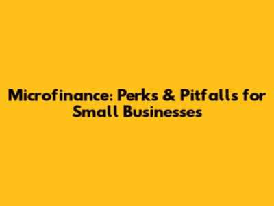 Microfinance: Perks & Pitfalls for Small Businesses