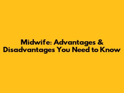 Midwife: Advantages & Disadvantages You Need to Know