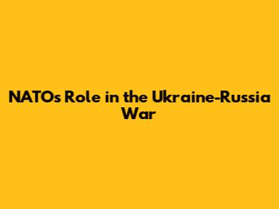 NATO's Role in the Ukraine-Russia War