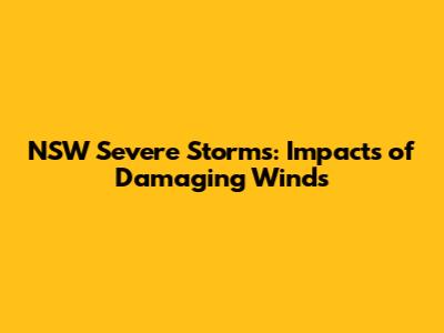 NSW Severe Storms: Impacts of Damaging Winds