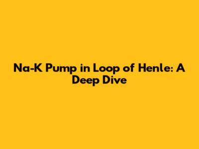 Na-K Pump in Loop of Henle: A Deep Dive