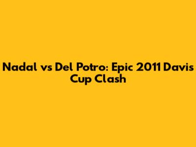 Nadal vs Del Potro: Epic 2011 Davis Cup Clash
