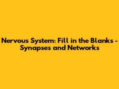 Nervous System: Fill in the Blanks - Synapses and Networks
