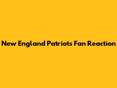 New England Patriots Fan Reaction