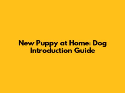 New Puppy at Home: Dog Introduction Guide