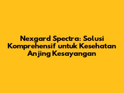 Nexgard Spectra: Solusi Komprehensif untuk Kesehatan Anjing Kesayangan
