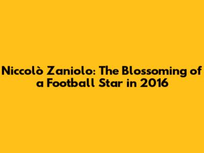 Niccolò Zaniolo: The Blossoming of a Football Star in 2016