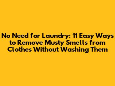 No Need for Laundry: 11 Easy Ways to Remove Musty Smells from Clothes Without Washing Them