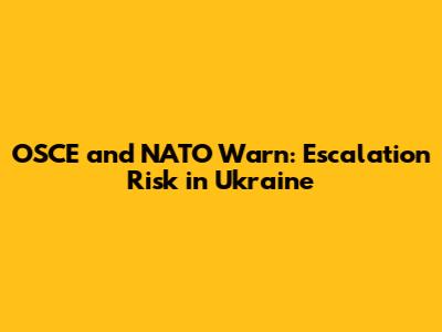 OSCE and NATO Warn: Escalation Risk in Ukraine