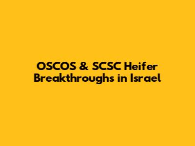 OSCOS & SCSC Heifer Breakthroughs in Israel