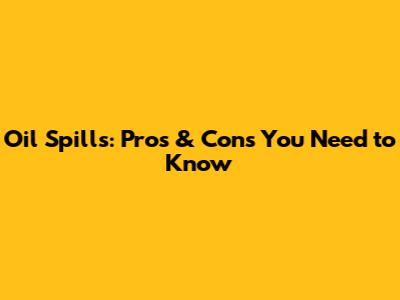 Oil Spills: Pros & Cons You Need to Know