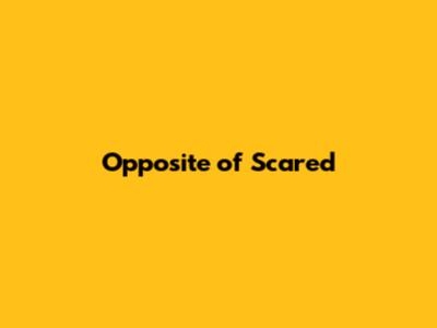Opposite of Scared