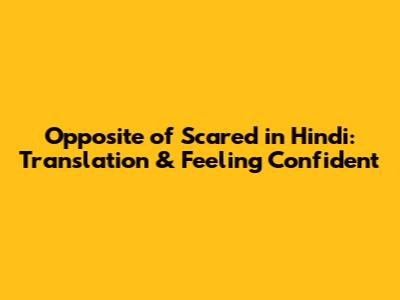 Opposite of Scared in Hindi: Translation & Feeling Confident