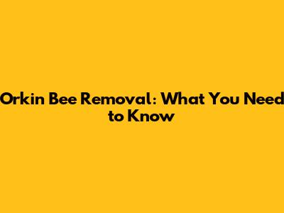 Orkin Bee Removal: What You Need to Know