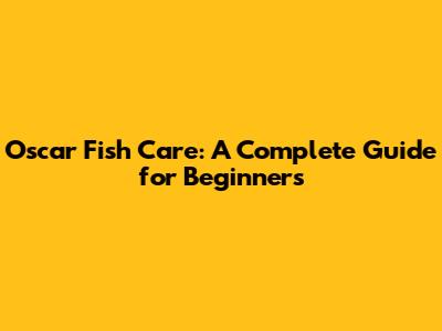 Oscar Fish Care: A Complete Guide for Beginners