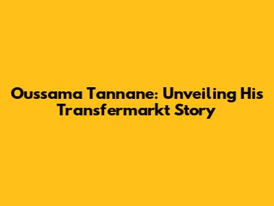 Oussama Tannane: Unveiling His Transfermarkt Story