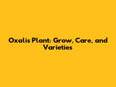 Oxalis Plant: Grow, Care, and Varieties