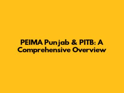PEIMA Punjab & PITB: A Comprehensive Overview