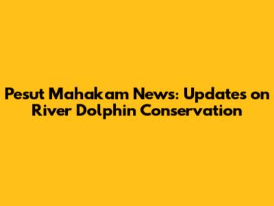 Pesut Mahakam News: Updates on River Dolphin Conservation
