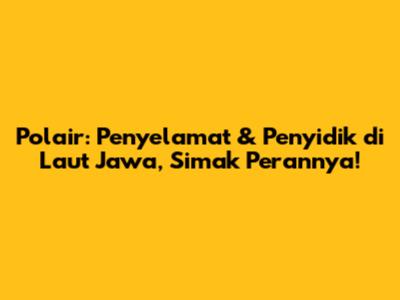 Polair: Penyelamat & Penyidik di Laut Jawa, Simak Perannya!