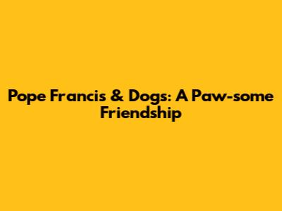 Pope Francis & Dogs: A Paw-some Friendship