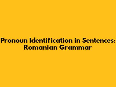 Pronoun Identification in Sentences: Romanian Grammar